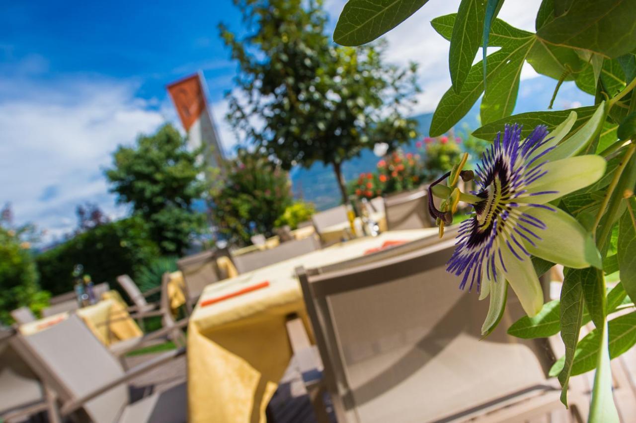 Ansitz Am Eck By Hotel Pernhof Tramin an der Weinstraße Exteriör bild